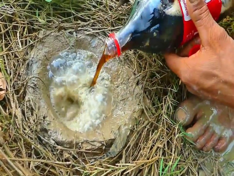 Amazing Life Hacks Fishing Method With Coca Cola , Chemical Rock Catch A Lot Of Fish From Hole | Animal Trap