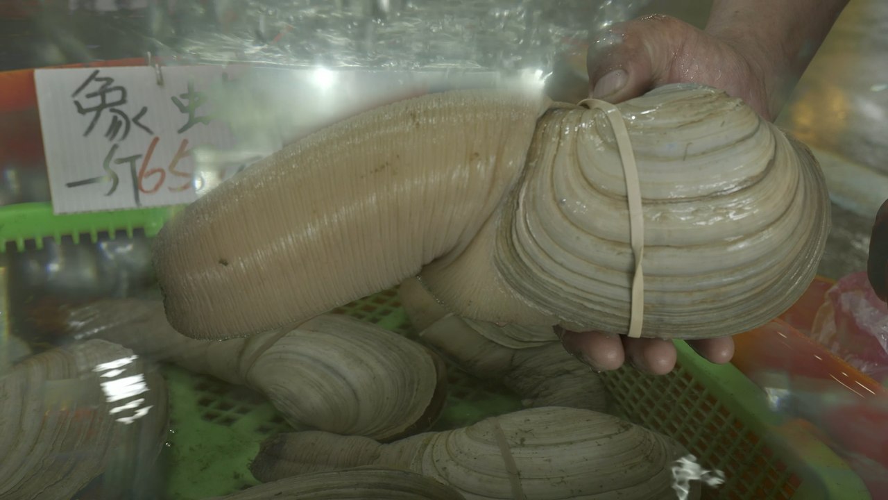 Würdest du eine Muschel essen, die so aussieht?