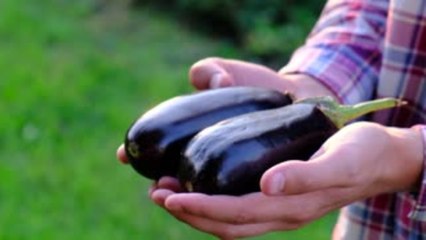 Can You Freeze Eggplant?