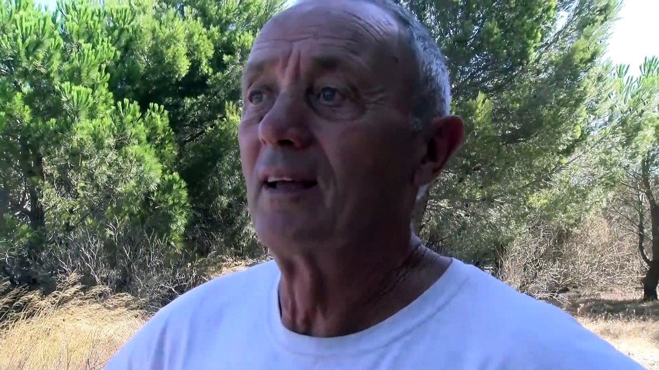 Incendie de Martigues: 1500 habitants de Sausset évacués hier soir