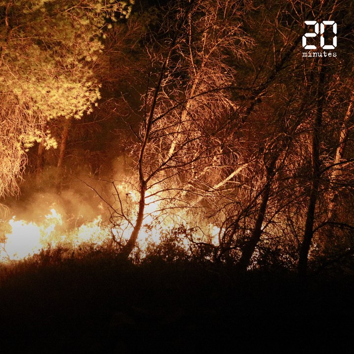 Martigues: Un violent incendie ravage plus de 1.000 hectares de végétation