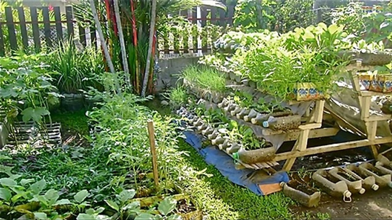 90 Beautiful Garden ideas Using Old Plastic Bottles - DIY Garden Ideas