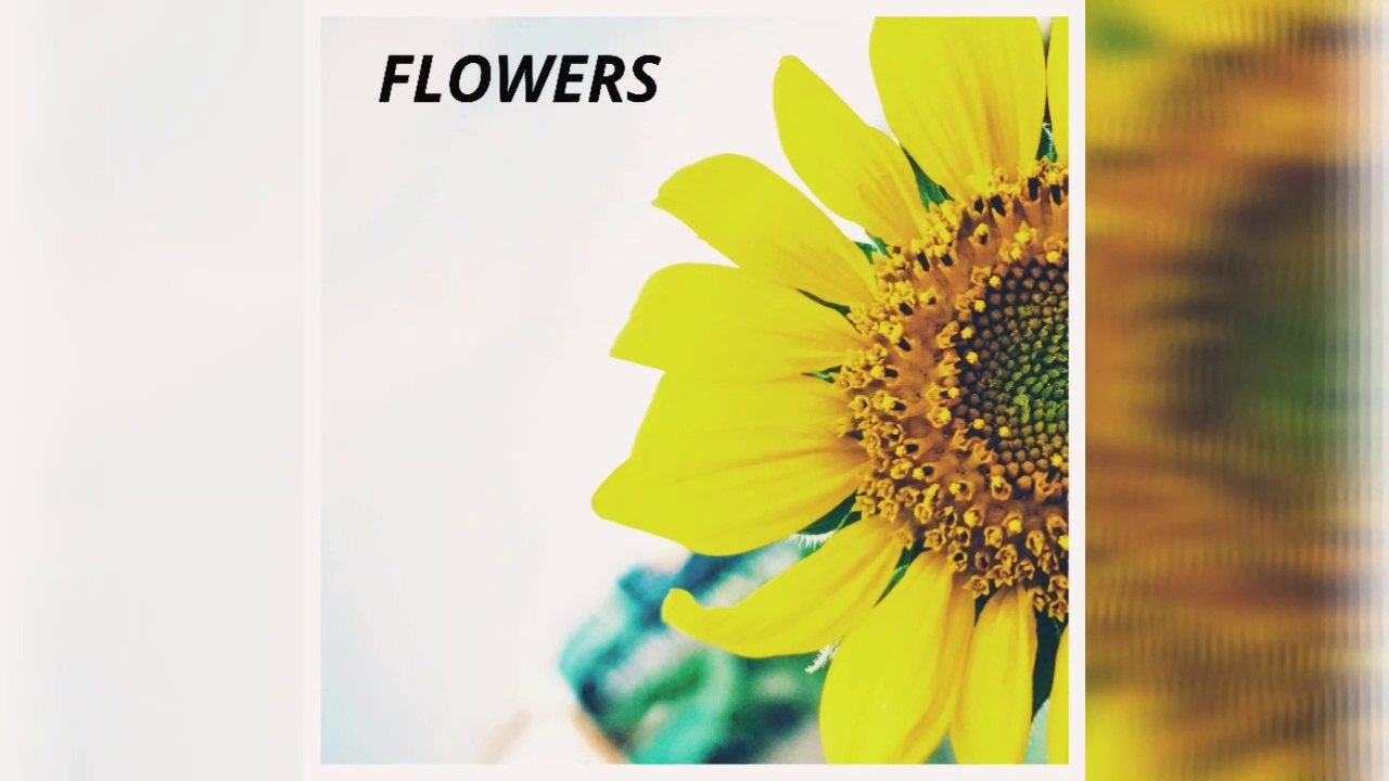 Flower - a special part of the plant.