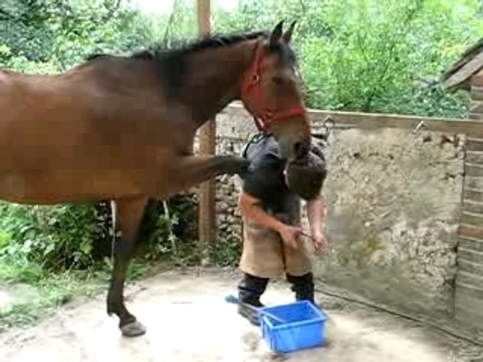 FERRO AU FERRAGE