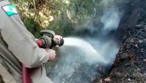 Incêndio em vegetação rasteira é combatido em ação do Corpo de Bombeiros