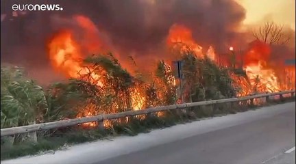 Le feu est maîtrisé sur la Côte bleue, dans les Bouches-du-Rhône