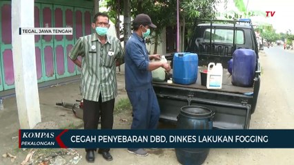 Download Video: Cegah Penyebaran DBD, DInkes Lakukan Fogging