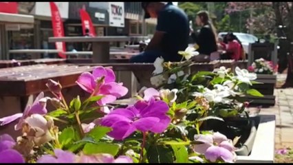 Delegada do GDE faz alerta para golpe do recolhimento do cartão de crédito clonado