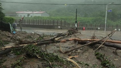 1년 강수량 절반이 내렸다...마을 집어삼킨 한탄강 / YTN