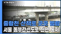 중랑천 산책로 곳곳 범람...서울 동부간선도로 전면 통제 / YTN
