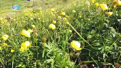 HARD TREK Puntata 16 - Parte 1