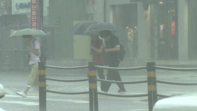 전국 폭우에 강풍까지...비 언제까지 오나? / YTN