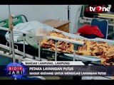 Kejar Layangan Putus, Bocah Diserang Anjing Penjaga