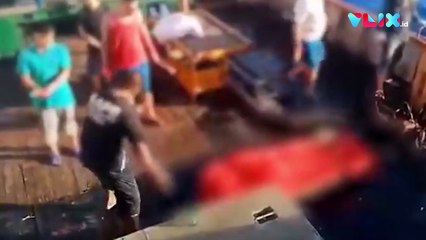 Terkuak! ABK Indonesia Disuruh Minum Air Laut