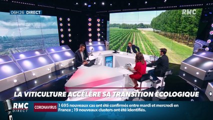 Objectif Terre : La viticulture accélère sa transition écologique - 06/08