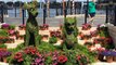 Theme Park Views 2020 Epcot Flower and Garden Festival