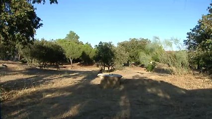 Una mujer aparece descuartizada en el pueblo madrileño de Chapinería