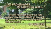 LES PROMENADES DE MICHOU64 W-D.D. - 31 JUILLET 2020 - PAU - EN PASSANT CE VENDREDI MATIN AU PARC BEAUMONT