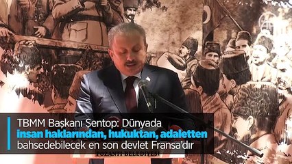 'Dünyada insan haklarından, hukuktan, adaletten bahsedebilecek en son devlet Fransa'dır'