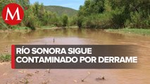 Contaminación en Río Sonora persiste, a 6 años de derrame: Semarnat