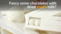 Jordanian chocolate maker adds goat's milk to its treats