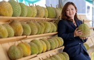 The sky's the limit for Musang Queen Anna Teo