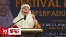 Wan Azizah: Be more responsible in using social media