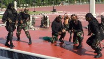 Indonesian troops impress US Defence Secretary with rare military demo