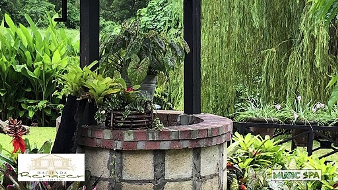 "ME RENDÍ" Poema Por: Zoé - Hacienda RENACER de Lares - Puerto Rico & Music Spa