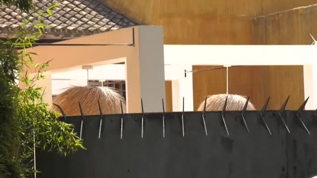 La asociación Andalucía de noche pide que les vuelvan a cerrar las discotecas