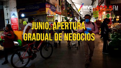 Junio, apertura gradual de negocios