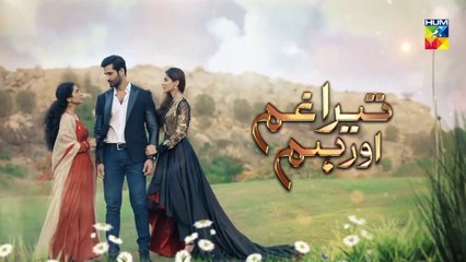 Tera Ghum Aur Hum Episode 13 Promo HUM TV Drama