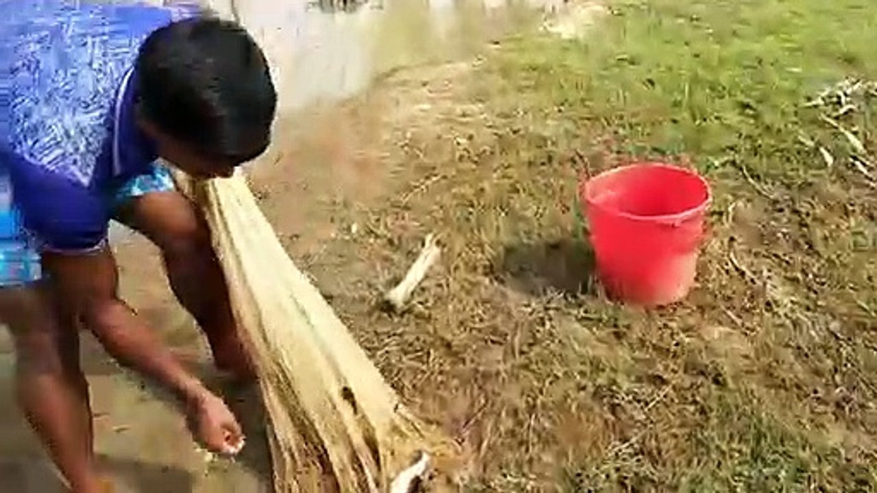 fishing_video