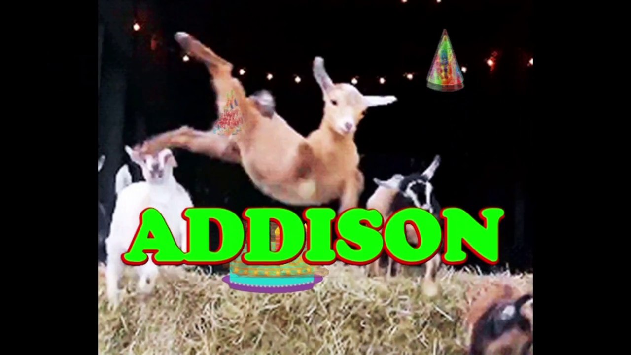 Happy Birthday Addison - Addison's Birthday Song - Addison's Birthday Party