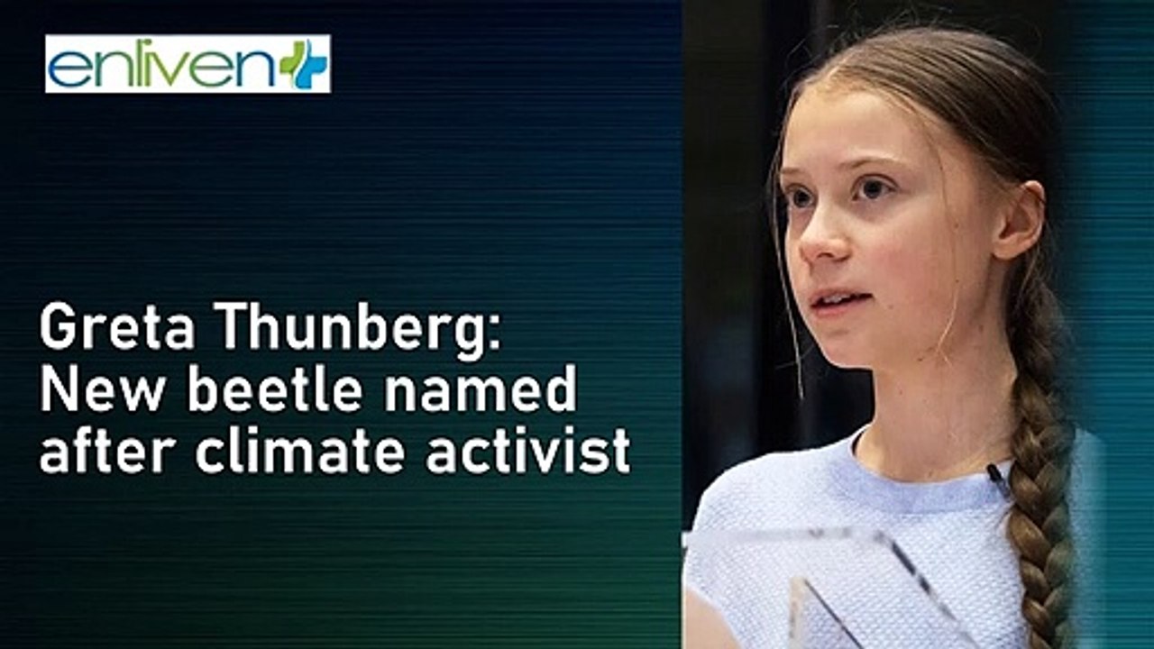 Greta Thunberg: New beetle named after climate activist.