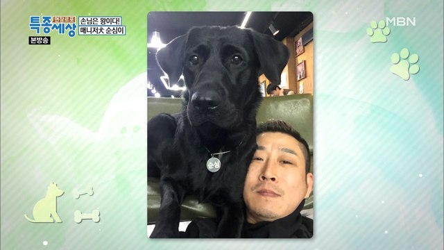 외로운 서울 생활의 든든한 동반자가 되어준 순심이