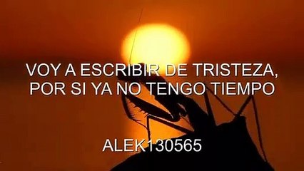 VOY A ESCRIBIR DE TRISTEZA POR SI YA NO TENGO TIEMPO