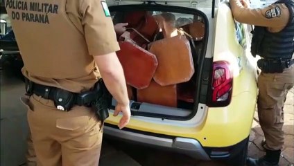 Cães do BPFron farejam e encontram bancos de madeira recheados com maconha