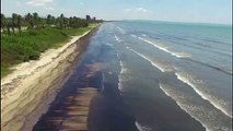Derrame de hidrocarburos afecta emblemática reserva marina de Venezuela