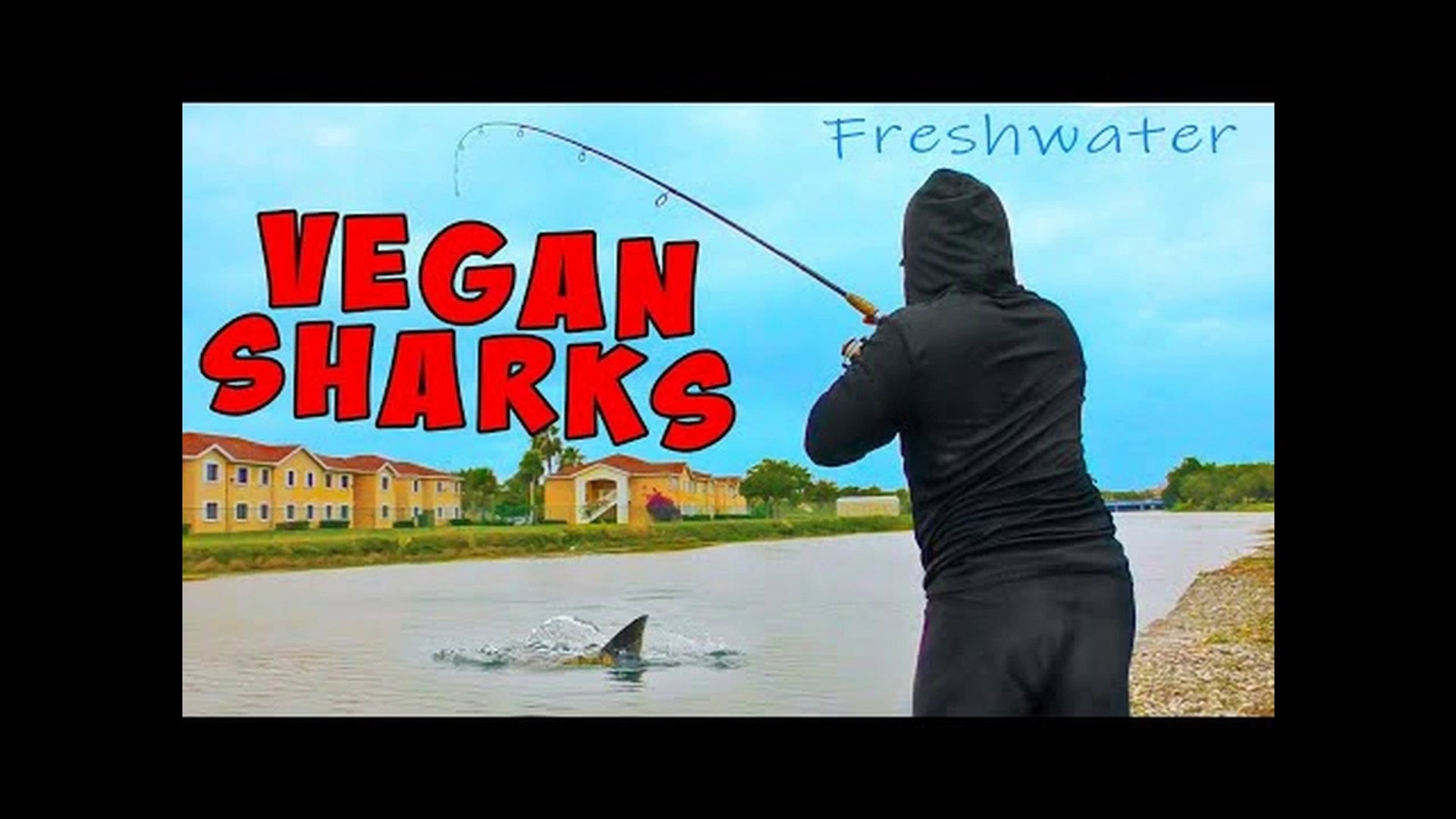 VEGAN SHARKS Topwater Blowups!!! Freshwater Shark Fishing