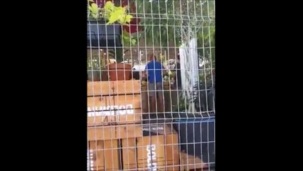 Un individu pète une solide coche a propos des mesures sanitaires