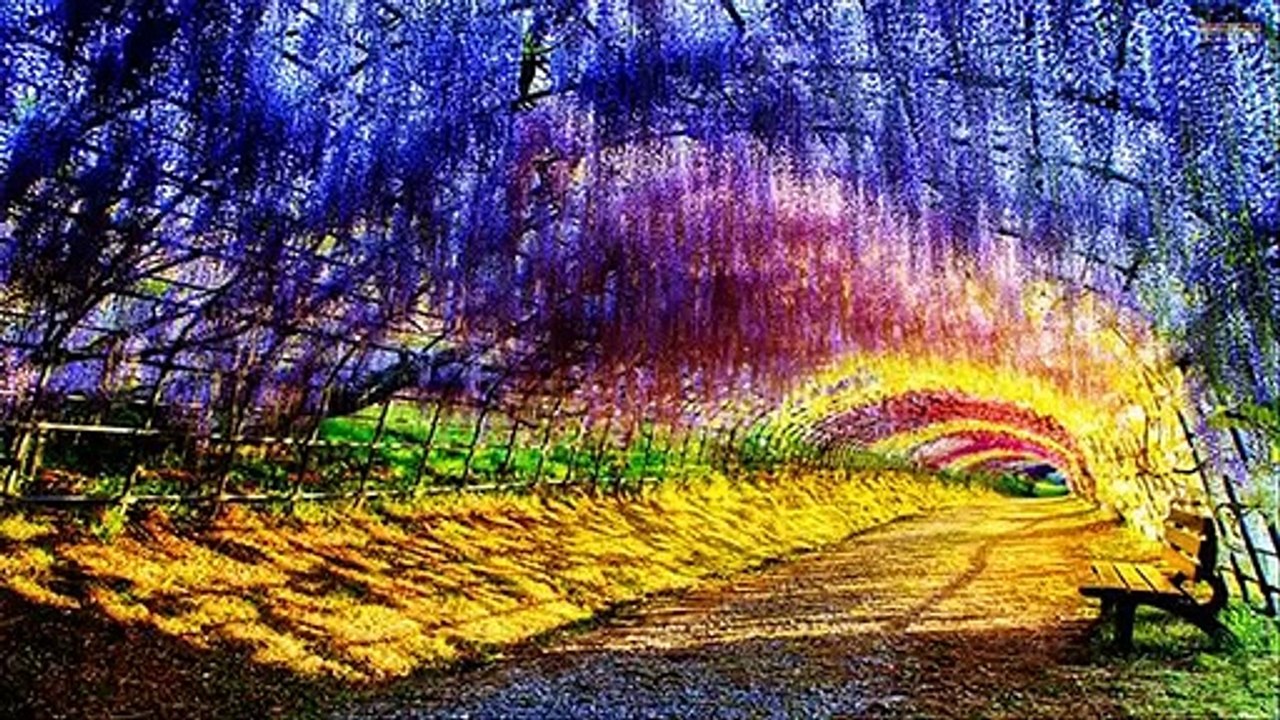 Top 70 Beautiful Colorful Way
