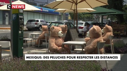 Mexique : maintenir les distance... grâce à des ours en peluche