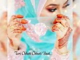 Teri Choti Choti Baat tri har ak mula kaat | Tere Naam  | Whats App Status
