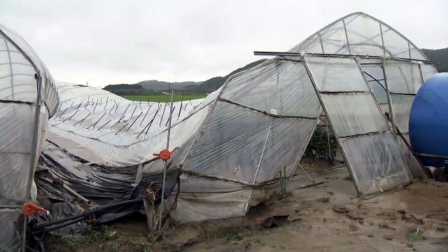 '물 폭탄'에 '지뢰'까지...엎친 데 덮친 철원 마을 / YTN