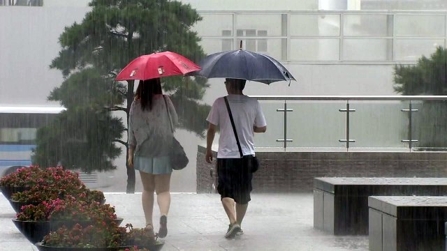 [날씨] 충청 이남 호우특보...주말 중북부 호우 / YTN