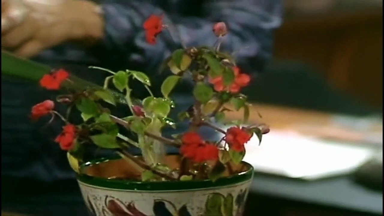 Mind Your Language - Season 2 - Episode 3 - Brief Re-Encount English Subtitle