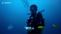 'Cleaning plastic from the ocean is my daily job' says diving instructor in southern India