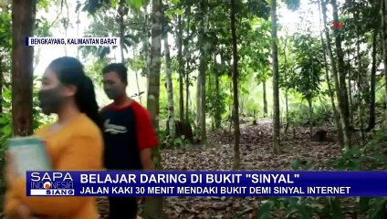 Kisah Siswa Perbatasan, Mendaki Bukit Mencari Sinyal Internet Demi Sekolah Online