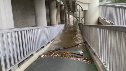 잠시 멈춘 집중호우...제보 영상으로 본 수도권 곳곳 / YTN